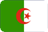 Marketing SMS  Argelia