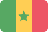 Marketing SMS  Senegal